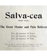 Salvacea Pain Reliever Medicine 1894 Advertisement Victorian Medical DWKK16 - $367.32 MXN