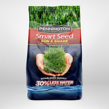 PENNINGTON SEED 100526659 Sun/Shade Seed Mix - $30.70