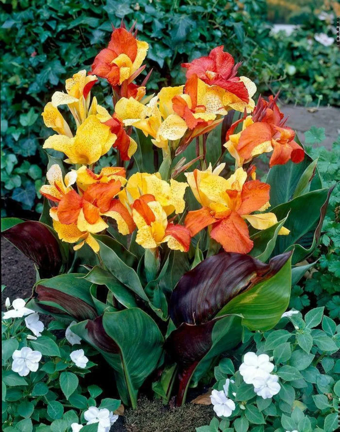 Item image 1 image 1