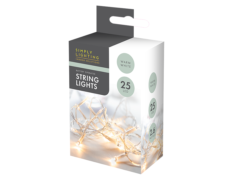 25 LED String Lights