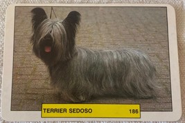 ⭕⭕VTG pocket calendar 1993 DOGS MANIL TERRIER SEDOSO N186 - $4.46