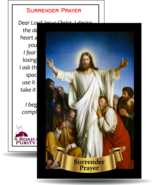 Surrender Prayer - Holy Card / 2 1/4&quot;x 3 1/2&quot; (b) (C) - $1.50