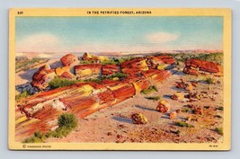 Petrified Forest Hobrook Arizona AZ UNP Unused Linen Postcard E15 - £2.14 GBP