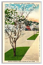 Main Street View Springtime Dogwoods Gatlinburg Tennessee UNP Linen Postcard N26 - £2.33 GBP