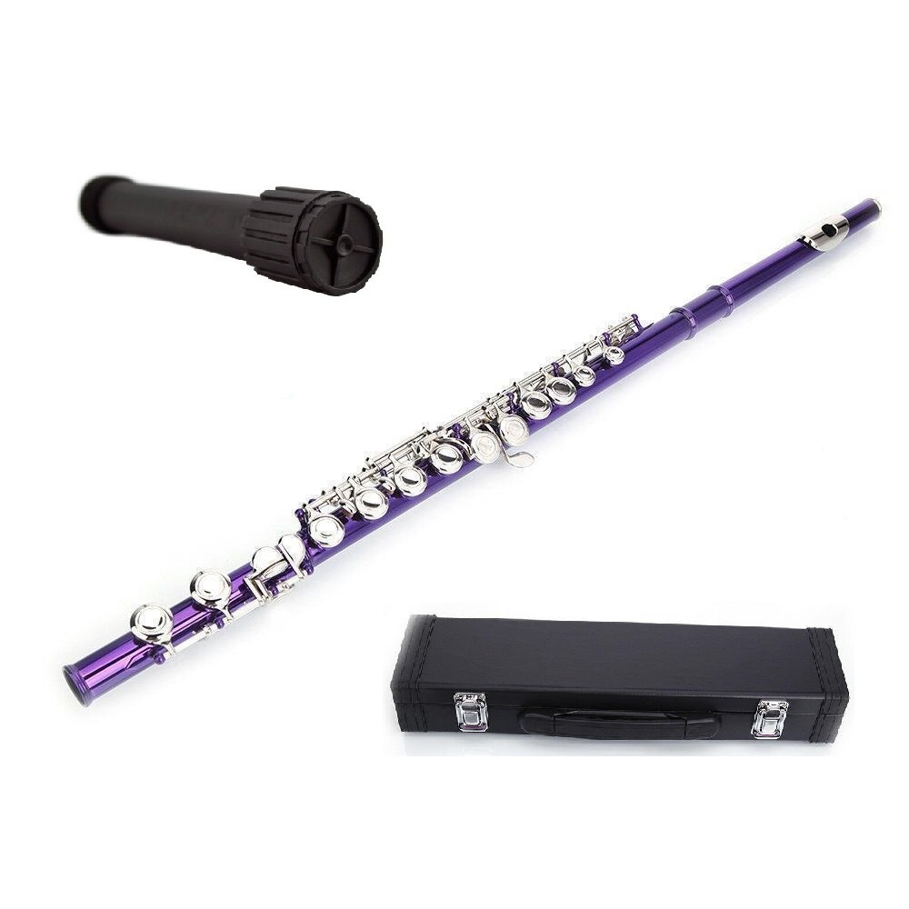 Primary image for New Purple Flute 16 Hole, Key of C with Carrying Case+Stand+Accessories