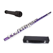 New Purple Flute 16 Hole, Key of C with Carrying Case+Stand+Accessories - £86.04 GBP