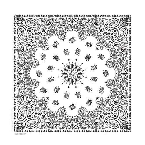 Primary image for Carolina Creative Bandanna (White) Farmer Paisley 17" x 17" 100% Cotton