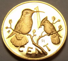 British Virgin Islands Cent, 1974 Cameo Proof~Hummingbird~94,000 Minted~Fr/Ship - £5.01 GBP