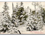 Snow Storm May 27 1907 Cheboygan Michigan MI UNP DB Postcard E19 - $10.84