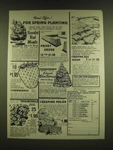 1990 House of Wesley Nursery Ad - Final Offer! For spring planting - $18.49