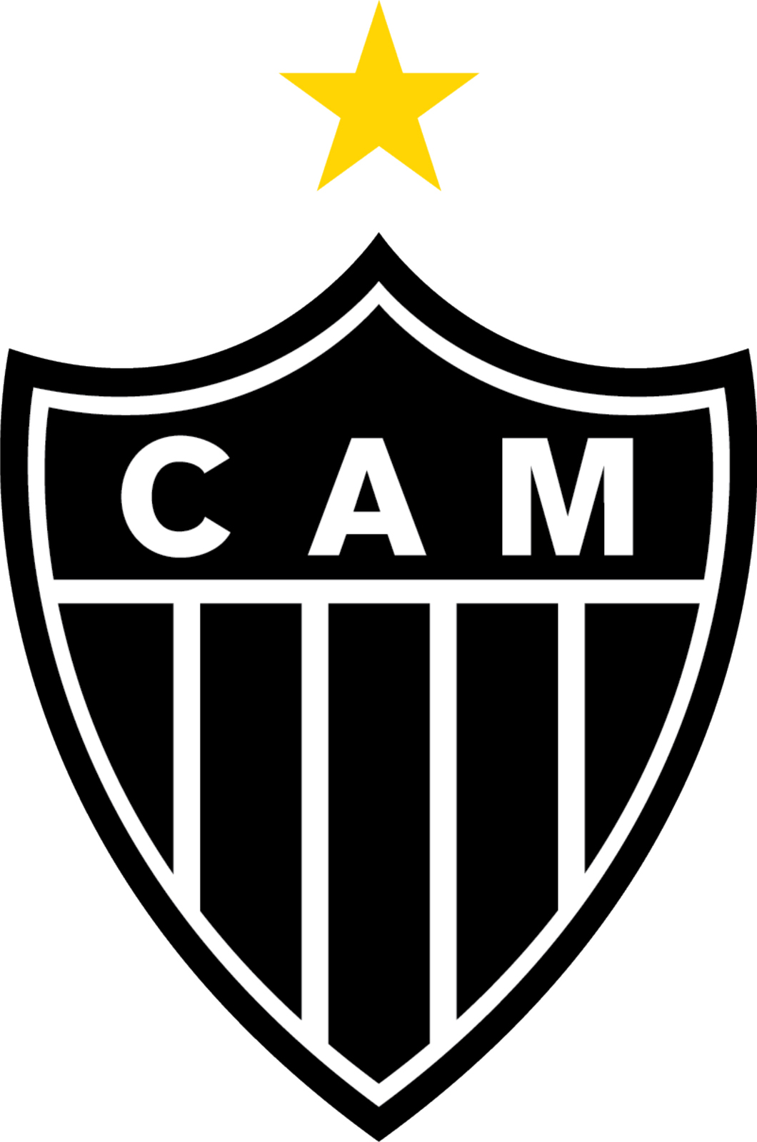 Clube Atletico Mineiro Brazil Football Badge Iron On Embroidered Patch - $15.99+