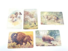 Tuck&#39;s Post Cards Postcards Lot of 5 Vintage Animal Themed Some Have Writings - £26.17 GBP