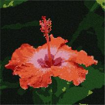 Pepita Needlepoint Canvas: Tropical Hibiscus, 10&quot; x 10&quot; - £63.33 GBP+