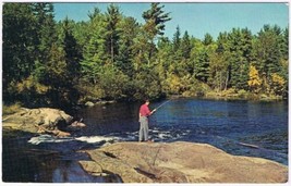 Postcard Fishing Scene In Algonquin Park Ontario - £2.31 GBP