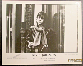 DAVID JOHANSEN : (RARE VINTAGE ORIG, ROCK &amp; ROLL RECORD PROMO PHOTO) 70.... - €84,74 EUR