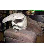 21&quot; Anteater Plush Toy By Discover Channel Store With Big Tail Rare - $139.59 CAD