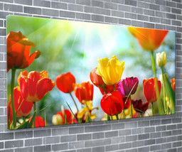 Tulip Sunrise Canvas Print Floral Wall Art 55x24 Inch Ready To Hang - £70.59 GBP