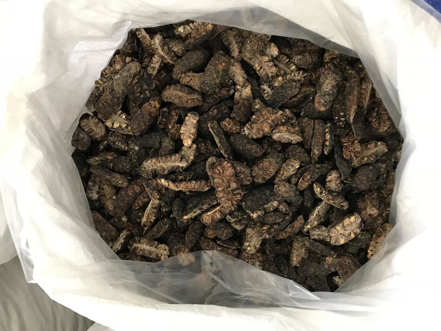 High Quality Dried Noni Fruit/ Morinda Citrifolia 1kg - $136.00