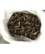 High Quality Dried Noni Fruit/ Morinda Citrifolia 1kg - $136.00