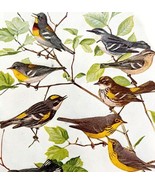 Warbler Varieties #4 1936 Bird Lithograph Color Plate Print DWU12C - $474.98 MXN