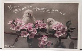 Peaceful Easter Real Photo Chicks on Branch of Flowers Colored 1908 Postcard D20 - £5.46 GBP