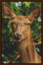 Red Deer Doe ~~ counted cross stitch pattern PDF - $15.99