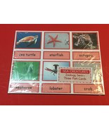 Sea Creatures- Zoology Series - Montessori 3 Three Part Card - (PRINTED)... - £11.60 GBP