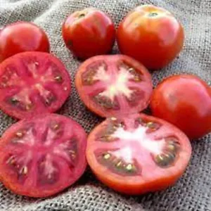 50 Seeds Betalux Tomato Juicy Tomatoe Vegetable Edible Food Fresh Garden - £7.33 GBP