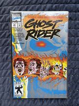 Ghost Rider #25 (Marvel Comics May 1992) - $27.55