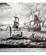 Artctic Whaling Dutch Harpooning 1926 Nautical Antique Print Whale Hunti... - $35.02 CAD