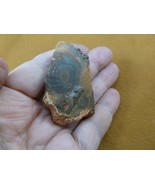 O-141 rough freeform round swirls spiral rings Yowah specimen stone Aust... - $89.99