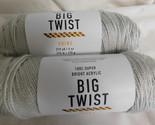 Big Twist Shine Silver lot of 2 Dye lot 34/4811 - £8.80 GBP