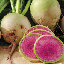 Watermelon Radish Seeds Seed Store 1084 - £4.54 GBP