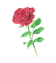 Single Red Rose Flower Blossom Vinyl Home Decor Decal Window Mirror Sticker Art - £5.55 GBP+