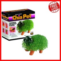 Adorable Puppy Decorative Terracotta Planter with Seed Pack, Self-Watering - $891.99 MXN
