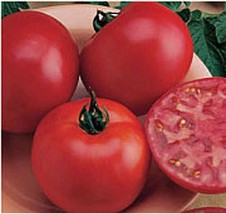 PM Burpee Big Boy Tomato Seeds (20+ Seeds) | Non GMO | Vegetable Fruit Herb Flow - $4.75