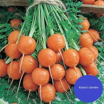 LWSTORE Parisian Carrot Seeds • 400 Seeds •Heirloom • Sweet Round Carrot Seeds • - £6.49 GBP