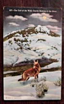 Vintage 1939  Postcard Photos Sanborn Souvenir Co. 227-The Call of the Wild - $15.74