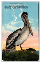 Pelican Bird Greetings From Florida FL UNP DB Postcard D20 - $2.92