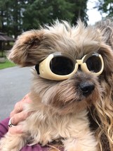 Dog Goggles Doggles Sunglasses Shatter Proof Anti Fog Ils Chrome Xlarge - $29.99