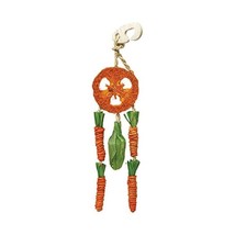 Rosewood Boredom Breaker Carrot Dream Catcher for Small Animals  - $7.00