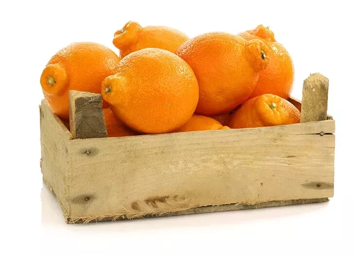 Tangelo Orange Seeds for Garden Planting 5 Seeds Fast Shipping US - $10.99