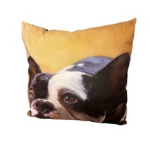 French Bulldog 16x16x6 inches Photo Throw Bed Couch Pillow Dog Big Eyes Decor - £17.57 GBP