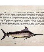 Marlin 1939 Salt Water Fish Gordon Ertz Color Plate Print Antique PCBG19 - $552.13 MXN