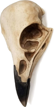 15.75-Inch Corvus Faux Taxidermy Raven Skull Bird of Prophecy Gothic Crow H - $115.82