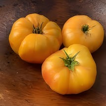 200 Seeds Organic Heirloom West Virginia Hillbilly Tomato - $9.98