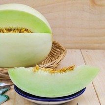  100 Green Flesh Honeydew Melon Seeds Green Flesh Non-GMO Free Shipping - £4.68 GBP