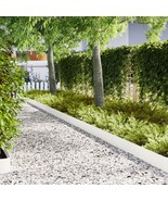 vidaXL Lawn Edgings 20 pcs White 39.4x0.2x7.9 in Plastic - €231,56 EUR