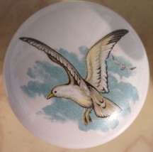 Cabinet Knobs Knob w/ Seagulls Seagull Sea Gull BIRD #2 - £4.17 GBP