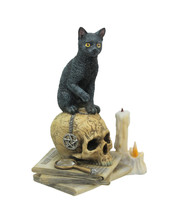 Lisa Parker Spirits of Salem Black Cat on Human Skull Statue 6.5 Inches High - £39.41 GBP